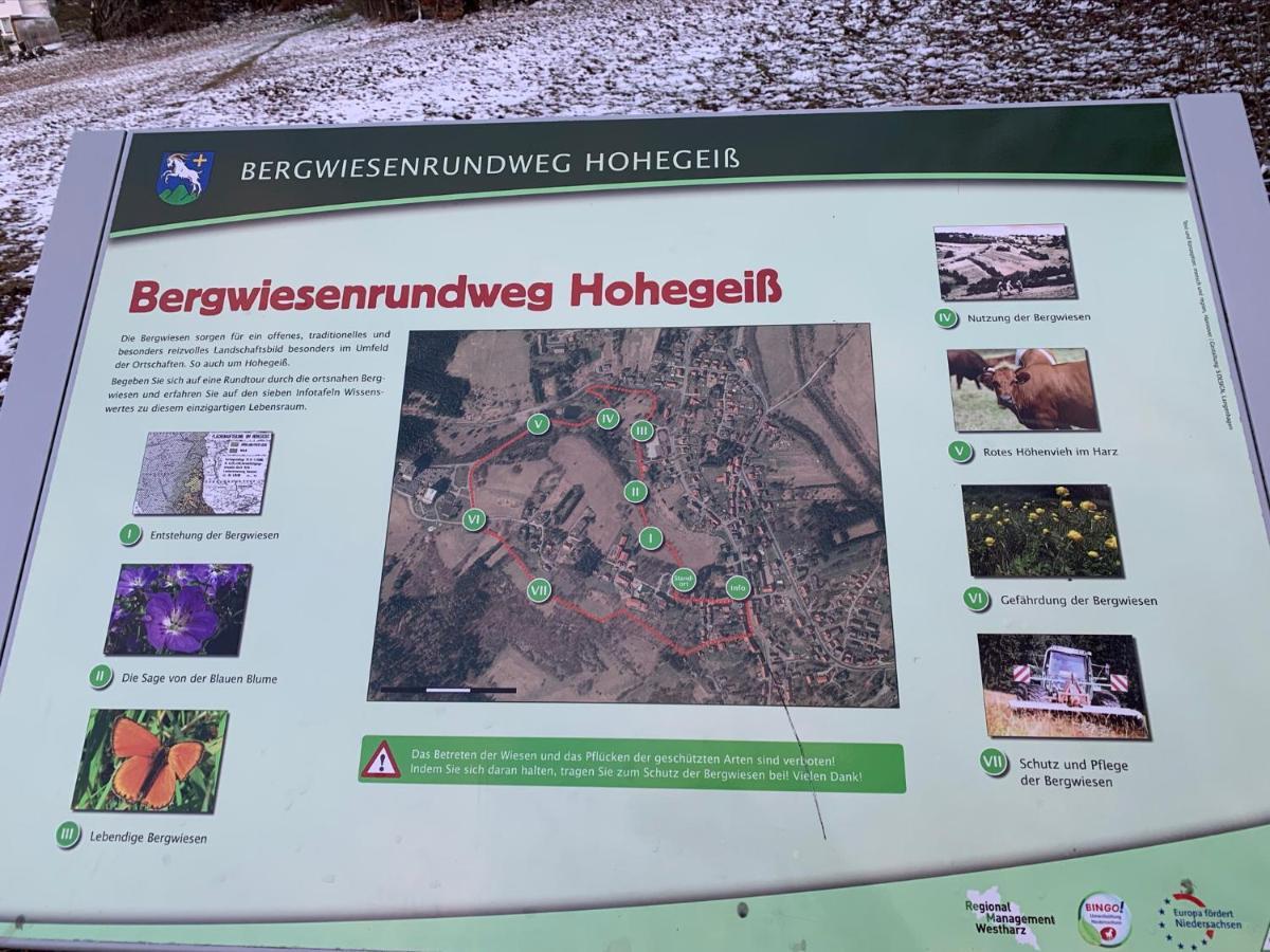 Gemuetliche Ferienwohnung Harz Braunlage Hohegeiss Экстерьер фото