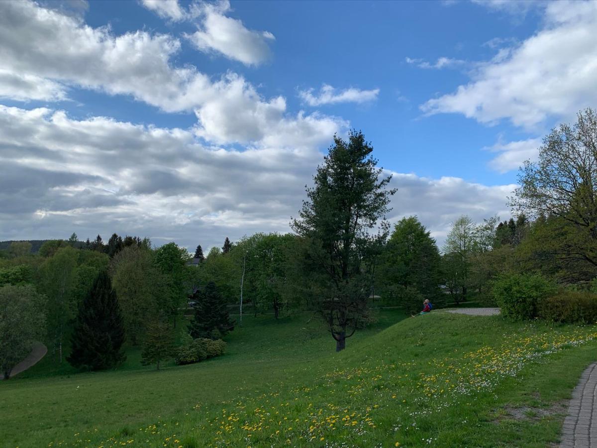 Gemuetliche Ferienwohnung Harz Braunlage Hohegeiss Экстерьер фото