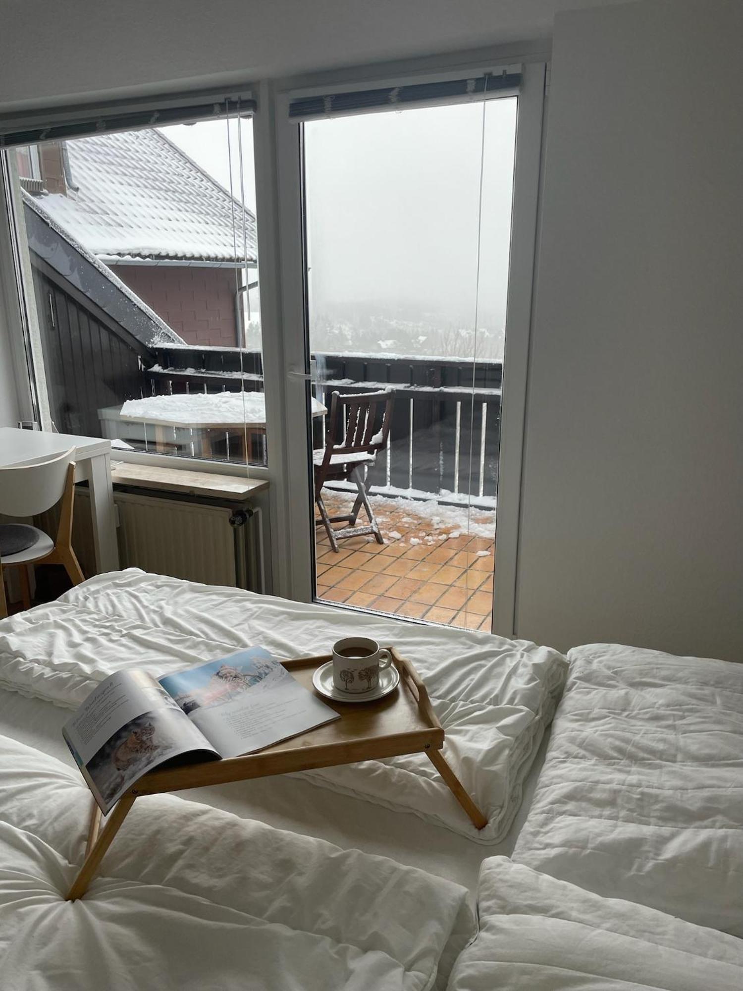 Gemuetliche Ferienwohnung Harz Braunlage Hohegeiss Экстерьер фото